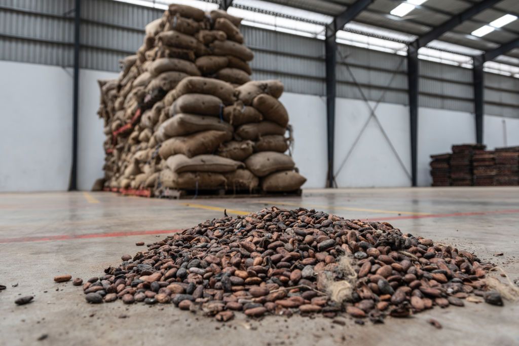 Operations at Awazen Cocoa Processing PlantA pile of loose cocoa beans on the floor of the Awazen cocoa processing plant in Abidjan, Ivory Coast, on Thursday, Nov. 17, 2022. Ivory Coast, the worlds biggest cocoa producer, is selling beans at a discount again, after the policy it sought to end earlier this year triggered a slump in sales. Photographer: Andrew Caballero-Reynolds/Bloomberg via Getty ImagesA pile of loose cocoa beans on the floor of the Awazen cocoa processing plant in Abidjan, Ivory Coast, on Thursday, Nov. 17, 2022. Ivory Coast, the world’s biggest cocoa producer, is selling beans at a discount again, after the policy it sought to end earlier this year triggered a slump in sales. Photographer: Andrew Caballero-Reynolds/Bloomberg