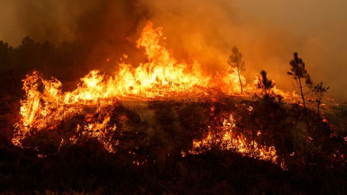 A gazdák lehetnek a felelősek a spanyol tűzvészekért
