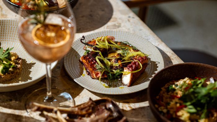 Botaniq Collection
Flava Kitchen & More