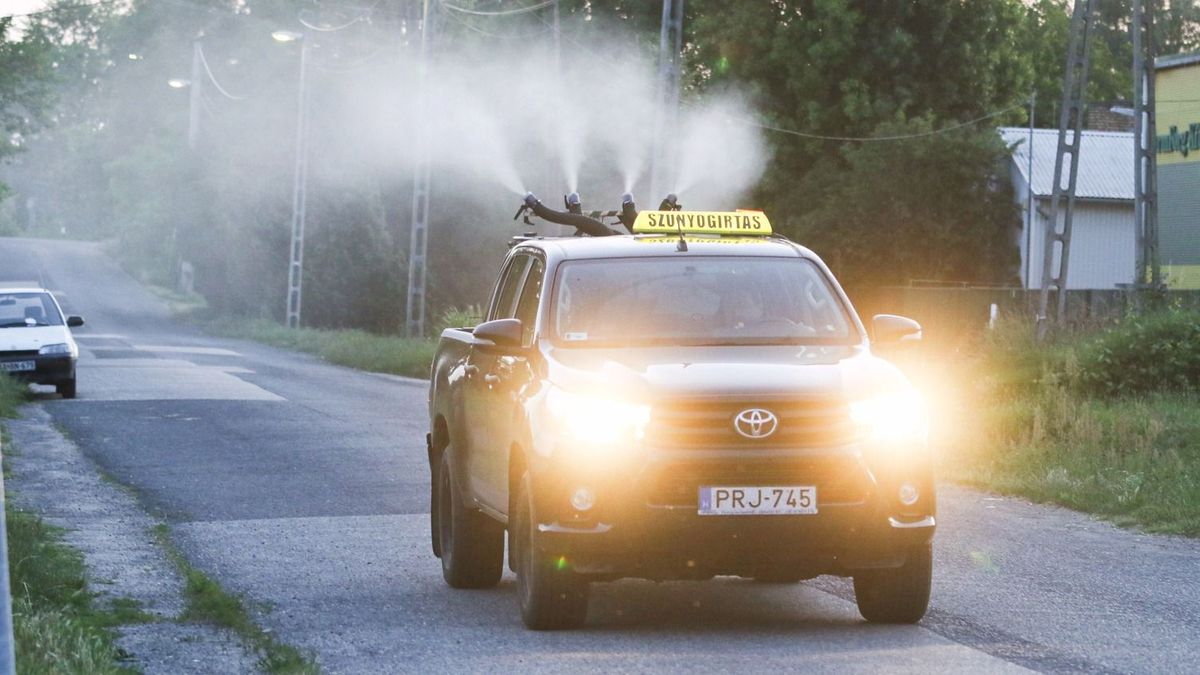 Szúnyoglárvákat irtanak öt megyében is a héten