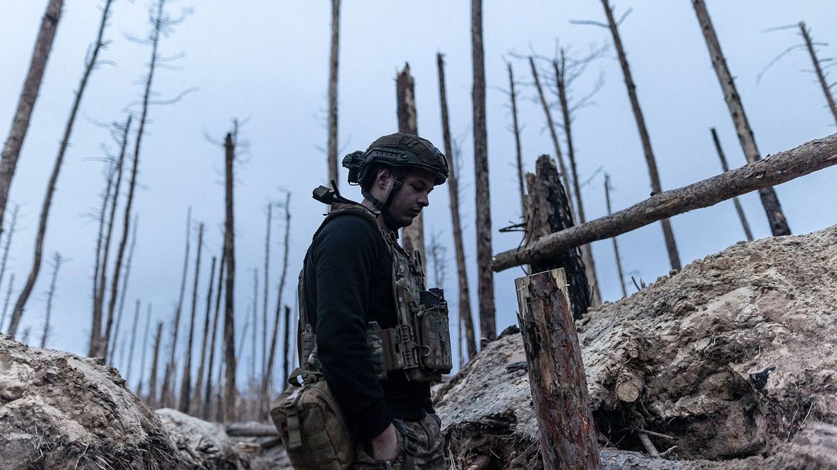 Felbecsülhetetlen és helyreállíthatatlan károkat szenvedtek az ukrán erdők