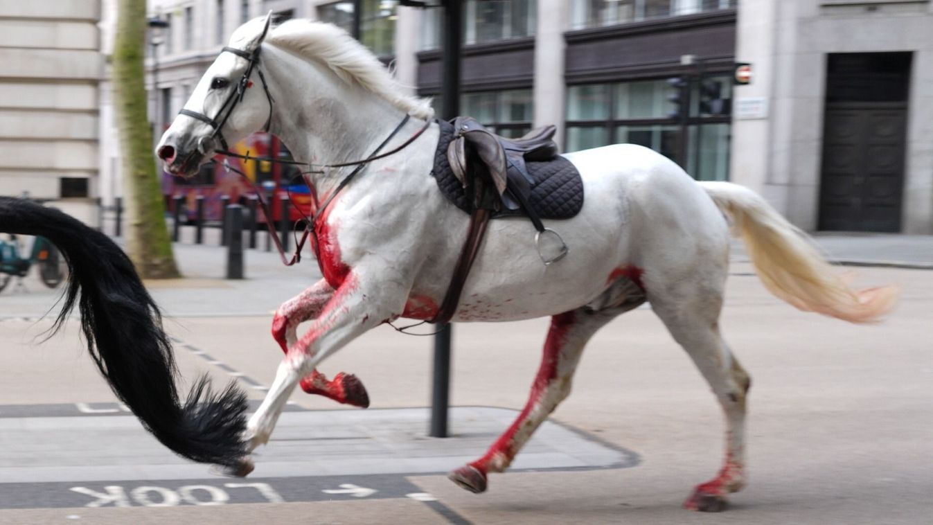 Véres katonai lovak lepték el London belvárosát – videó