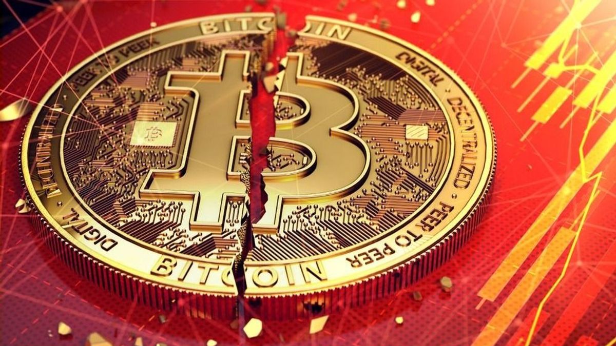 Megtöbbszörözték vagyonukat a bitcoinbálnák