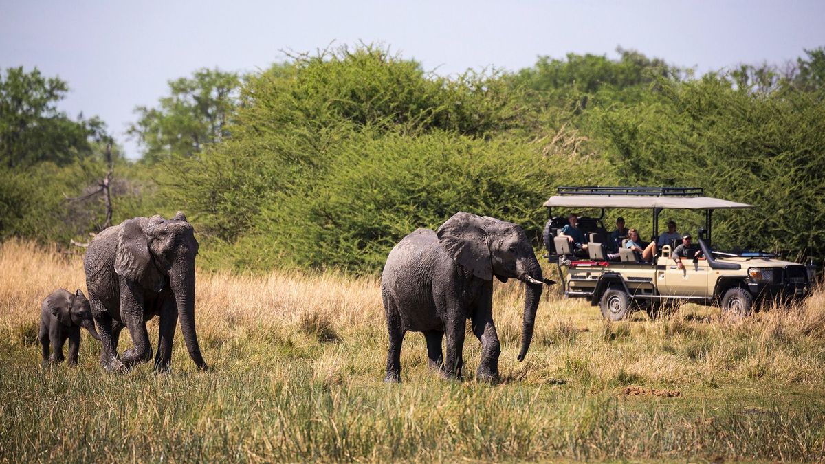 Botswana 20 ezer elefánttal tarolná le Németországot