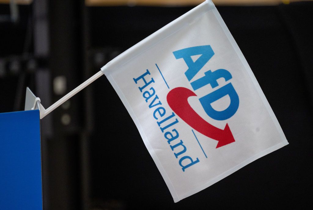 AfD Brandenburg state party conference