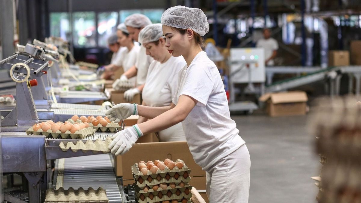 Hiába adna egy magyar cég havi 600–700 ezer nettót, nincs jelentkező az állásra