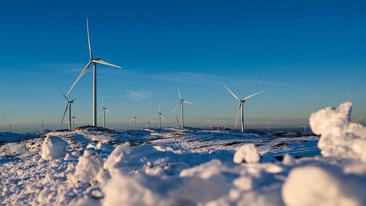 A photo taken on December 7, 2021 shows wind turbines of the Storheia wind farm, one of Europe's largest land-based wind parks, in Afjord municipality, Norway. On a gusty mountain crest, the Jama brothers weave between wind turbines that stretch as far as the eye can see, on what used to be their animals' winter pasture. Climate emergency or not -- for these reindeer herders, the turbines have to go. (Photo by Jonathan NACKSTRAND / AFP)
