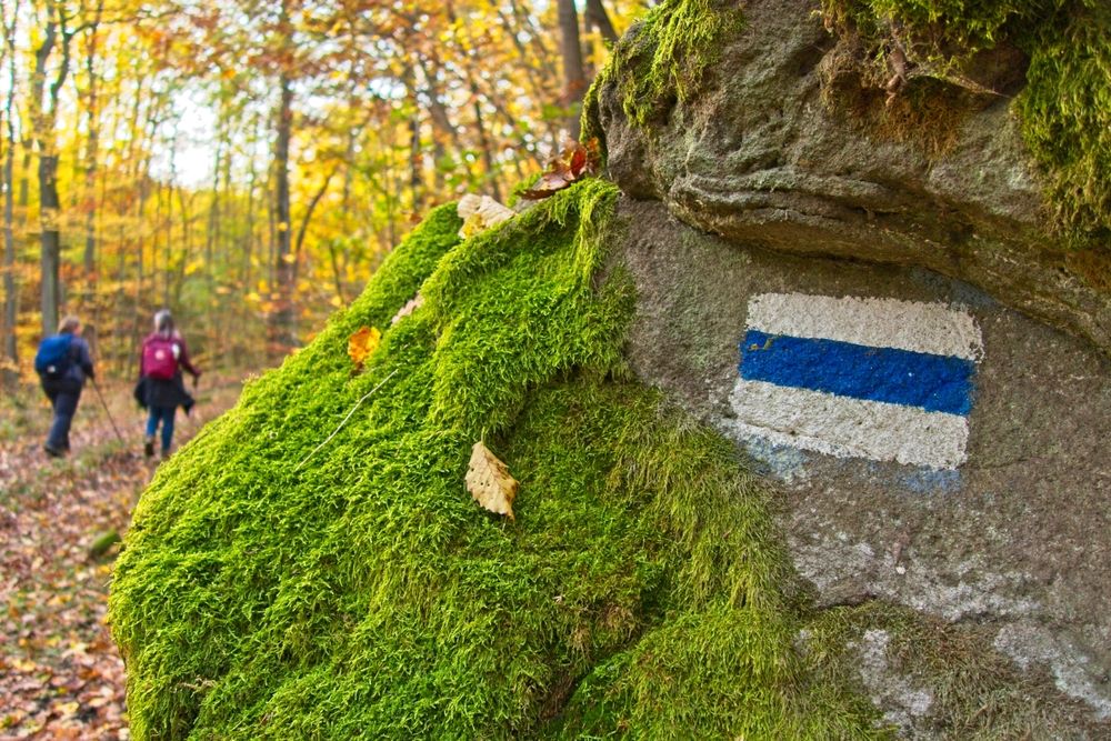 Blue,Hiking,Trail,Mark,On,A,Huge,Stone,Covered,With