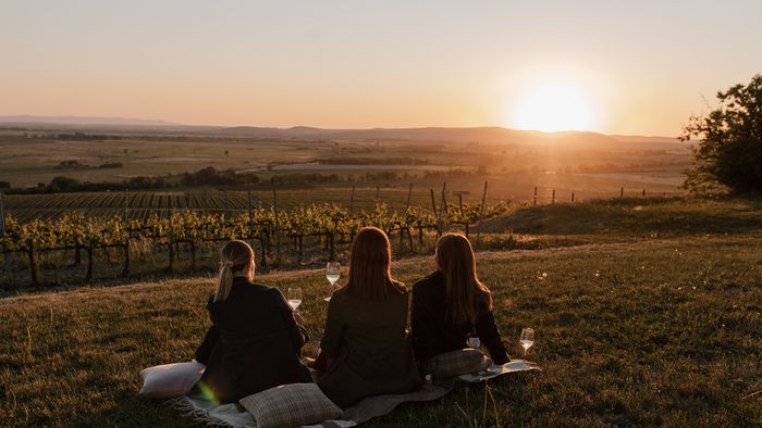 Botaniq Collection
Andrássy Kúria & Spa
Tokaj