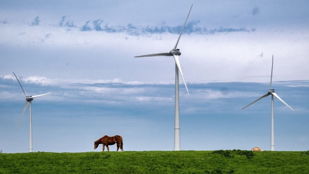 Uithuizermeeden. Wind turbines with a grazing horse on a dike. PHOTO: ANP / Hollandse Hoogte / Gerard Til netherlands out - belgium out (Photo by Gerard Til / ANP MAG / ANP via AFP)