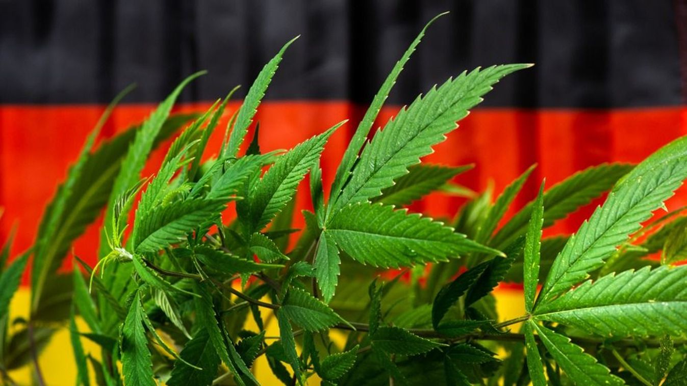 Cannabis,Plant,With,German,Flag,In,The,Background