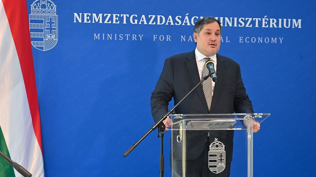 Nagy Márton: két héten belül megszerezheti az állam a Liszt Ferenc nemzetközi repülőteret