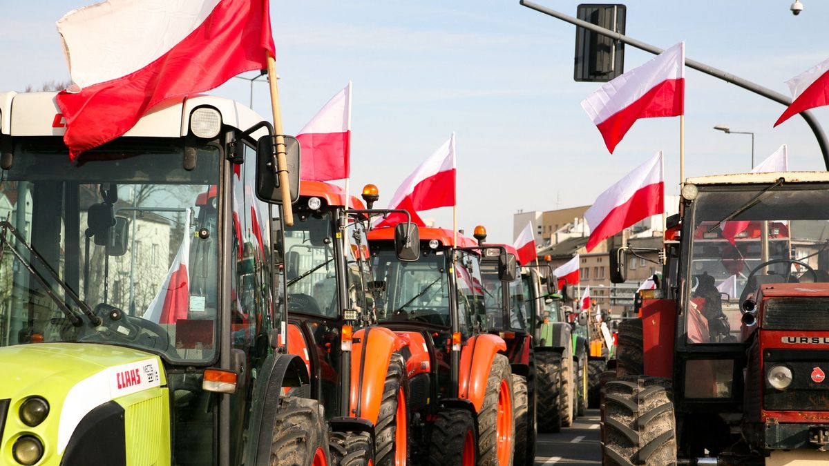 Ukrán tanács: Európa termesszen virágokat, vagy marihuánát és mondjon le a gabonáról
