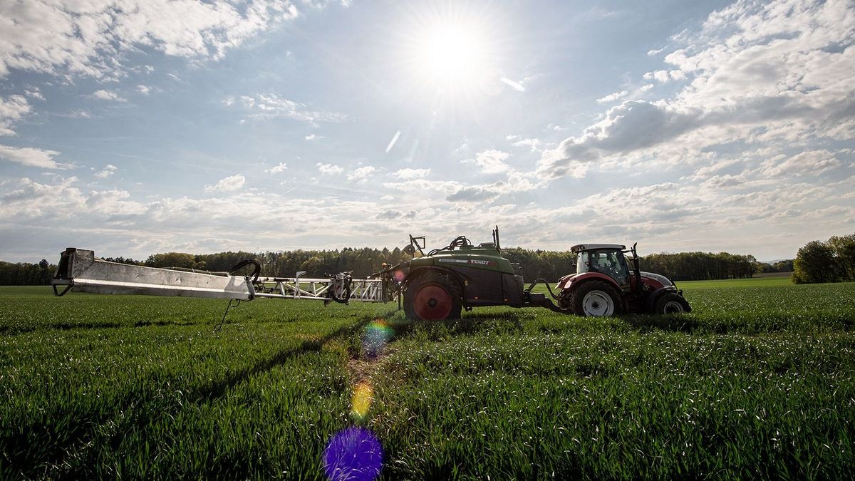 Agropénzt követel vissza a csehektől Brüsszel, Babist nem említik