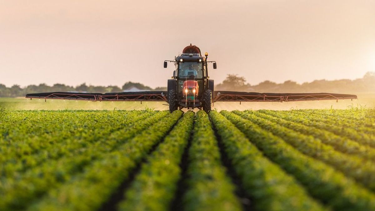 Az agrártámogatásokról indított információs oldalt a szaktárca