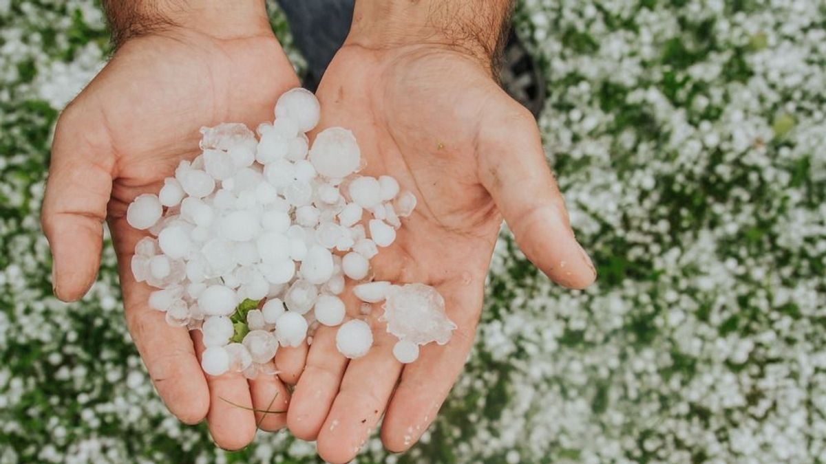 Aszály után tizenkilencre húztak lapot az agrártermelők