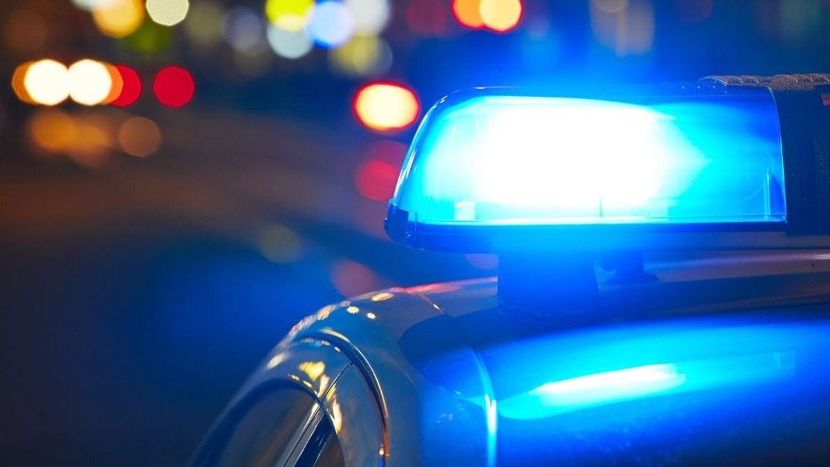 Elkapta a TEK a gödöllői álrendőröket – videón a rajtaütés