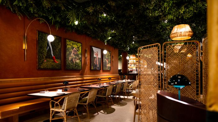 Botaniq Collection
Flava Kitchen & More