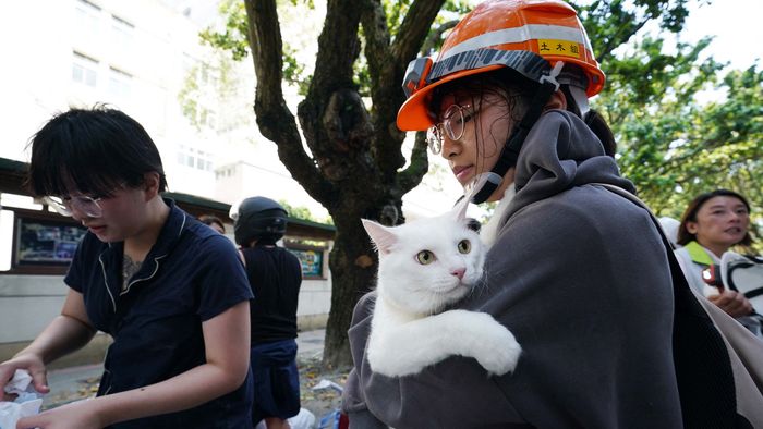 Taiwan's strongest earthquake in 25 years