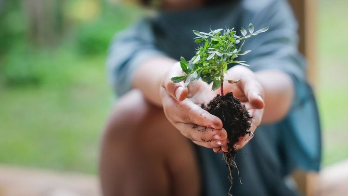 Klímavédelem: zöldebb csomagolást és csökkenő szén-dioxid kibocsátást ígér a Schneider Electric
