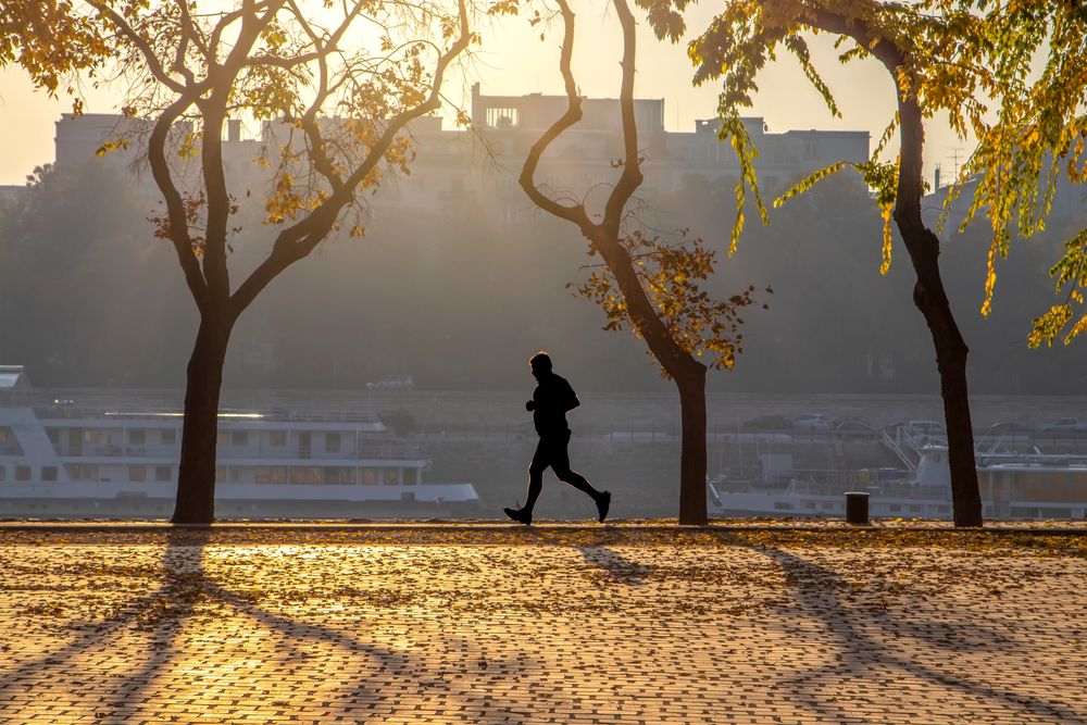 A,Middle-aged,Man,Runs,In,The,Park,Lit,By,Light