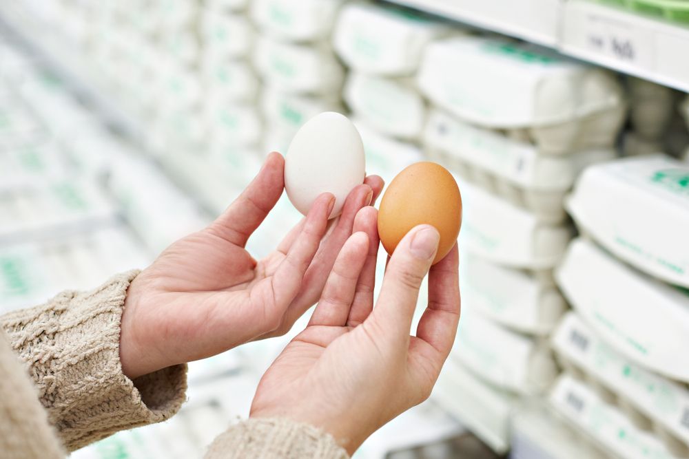 Hands,Of,A,Woman,With,White,And,Brown,Eggs,In