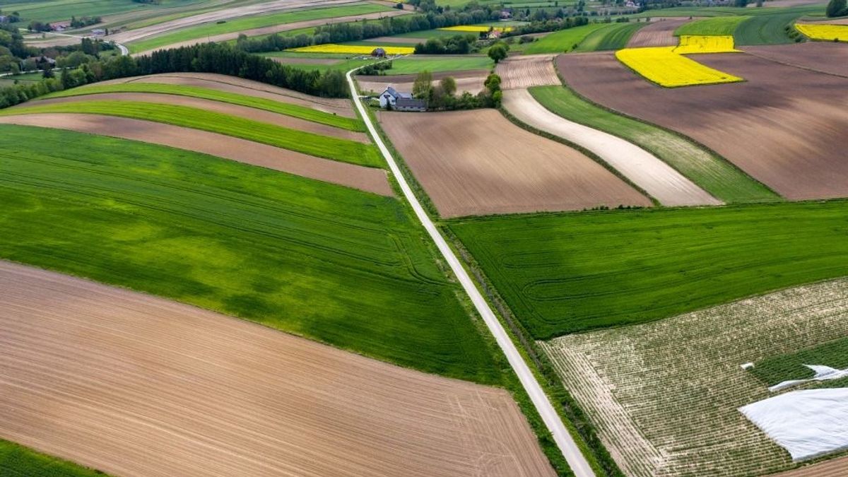Az Európai Unió meghosszabbította az ukrán mezőgazdasági termékek vámmentes behozatalát