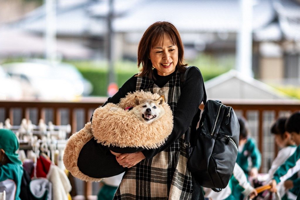 This picture taken on March 19, 2024 shows Atsuko Sato with her Japanese shiba inu dog Kabosu, best known as the logo of cryptocurrency Dogecoin, playing with students at a kindergarten in Narita, Chiba prefecture, east of Tokyo. Her fluffy face now frail, Kabosu still flashes the enigmatic smile that made her the go-to meme dog for millennials and inspired a $23 billion cryptocurrency beloved by Elon Musk. She's best known as the logo of Dogecoin, but to Atsuko Sato, Kabosu is the elderly former rescue puppy who accompanies her every day to work at a kindergarten. (Photo by Philip FONG / AFP) / TO GO WITH Japan-internet-crypto-meme-Doge-wow, FOCUS by Katie FORSTER with Huw GRIFFITH