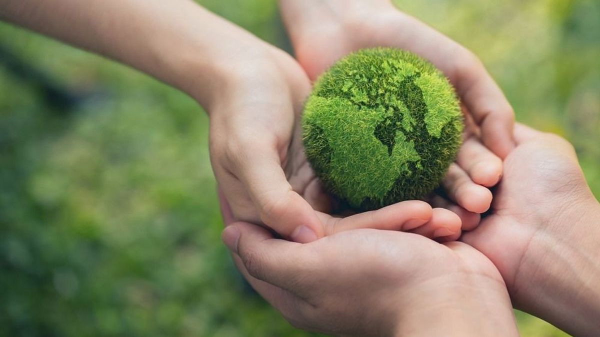 A sötétzöld Green Deal elbukott, mi jöhet ezek után: ideológiamentes, racionális zöldátmenet