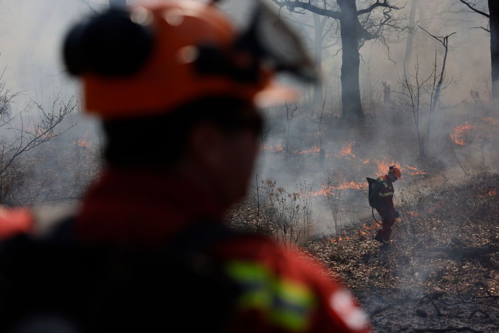 prescribed fire burnTORONTO, ON - April 9 - Memb