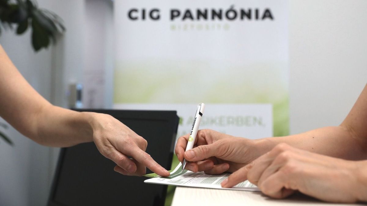 Nagyott nőttek a CIG Pannónia bevételei