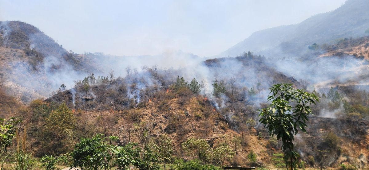 Nepál, erdőtűz, forest fire