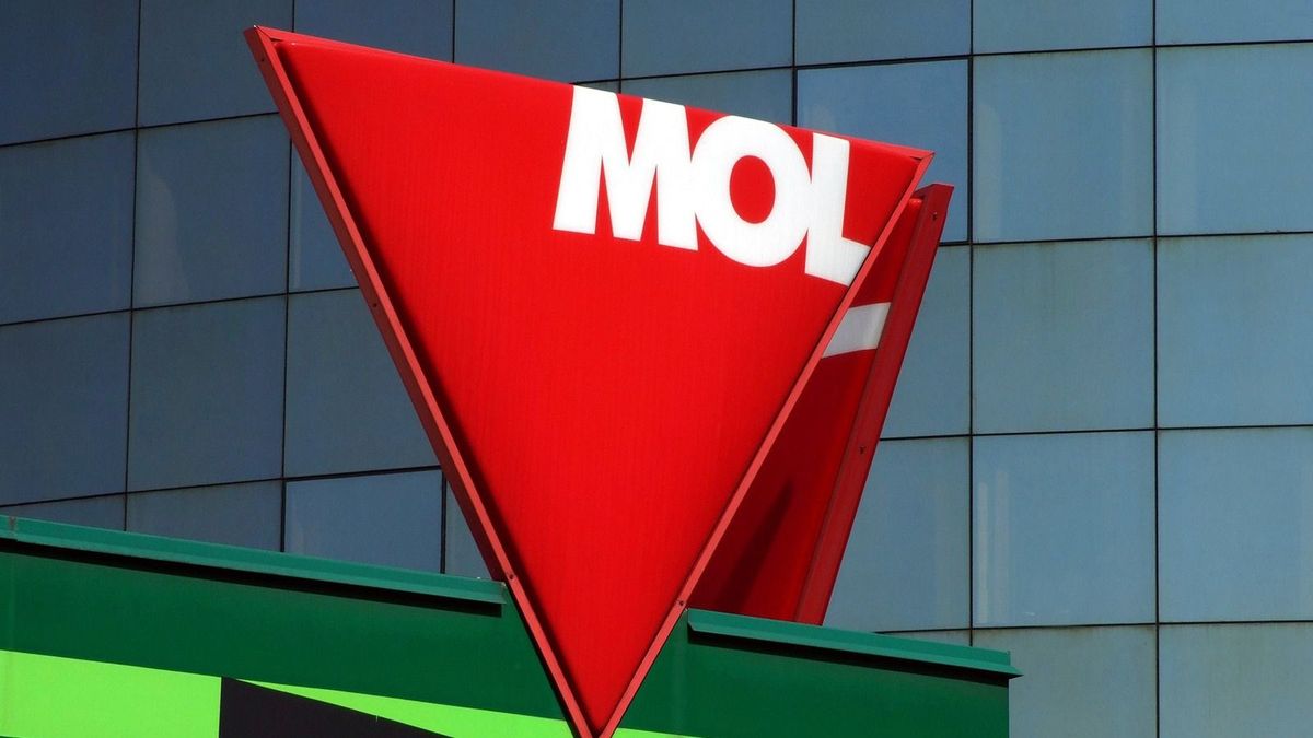Vegyes felvágott képét mutatja a Mol gyorsjelentése