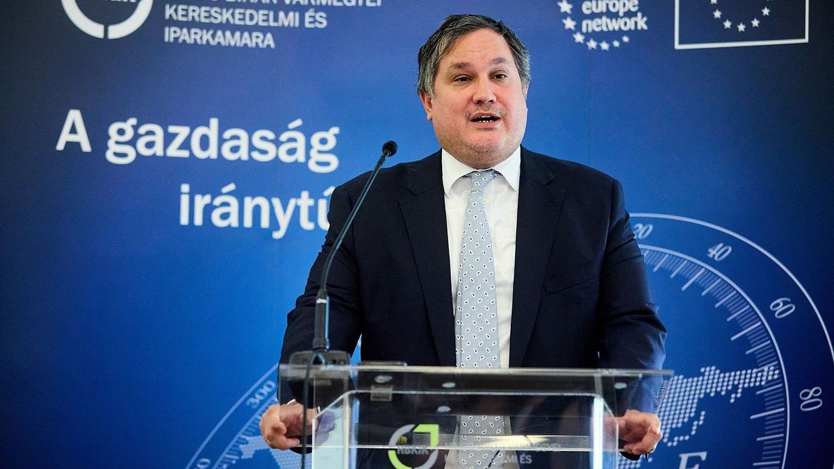 Mesterséges intelligencia: Nagy Márton szerint szép dolog erről beszélni, de előbb legyen a kkv-knak honlapja