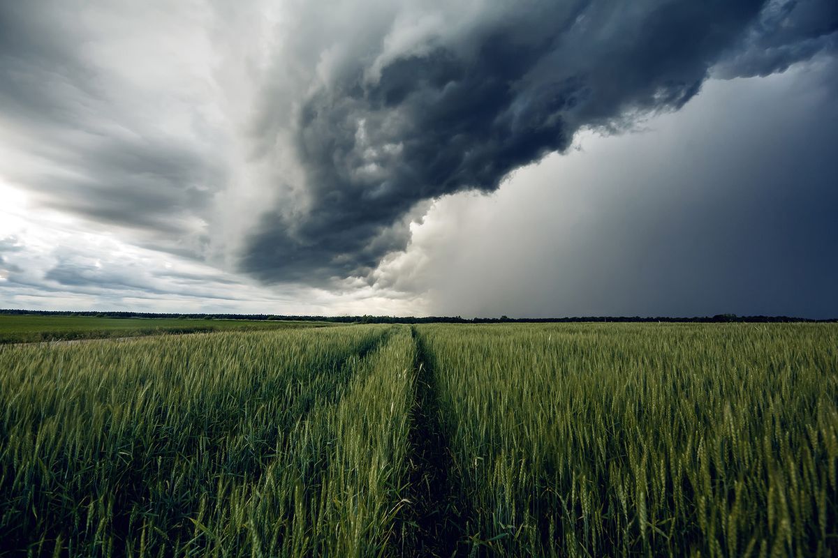 Storm,Dark,Clouds,Over,Field, jégeső