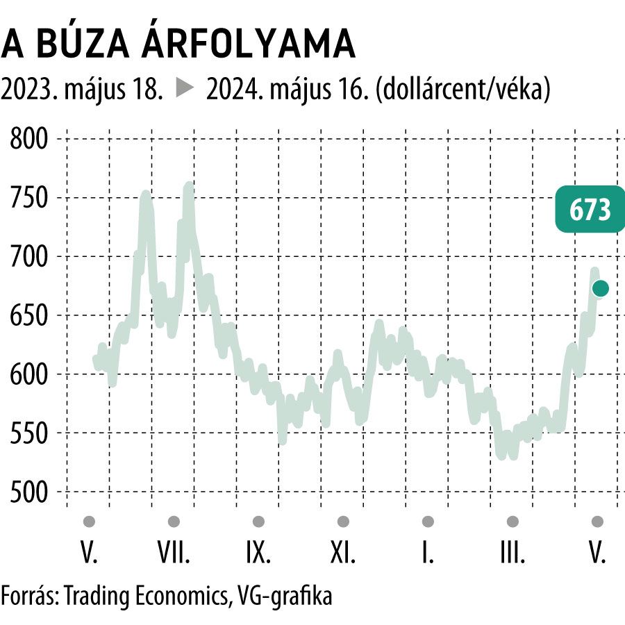 A búza árfolyama 1 év
