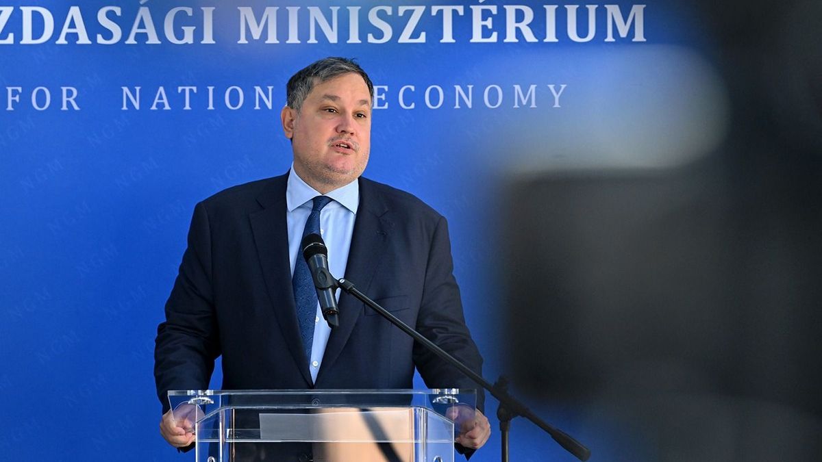 Nagy Márton: Európa és Kína összekapcsolása mentheti meg a kontinens gazdaságát