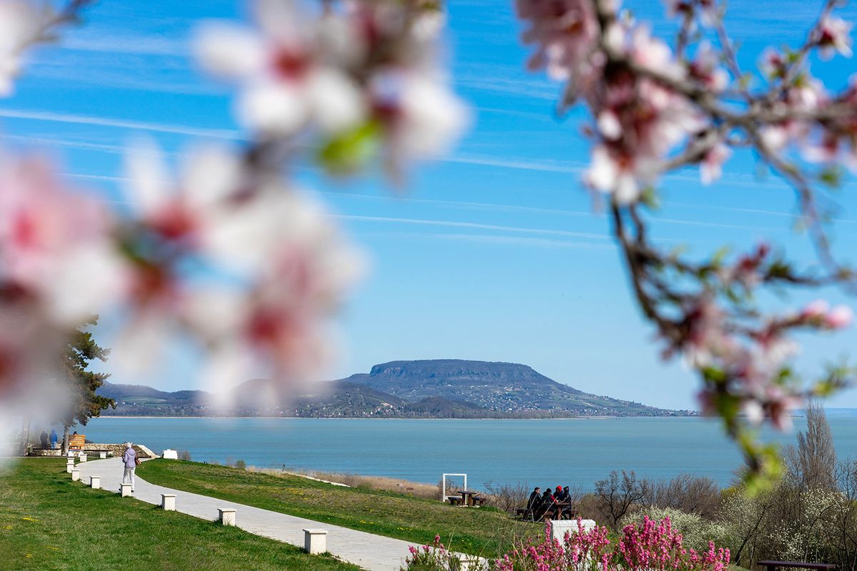 Beautiful,Spring,Landscape,In,Hungary,At,Lake,Balaton,With,Blooming
