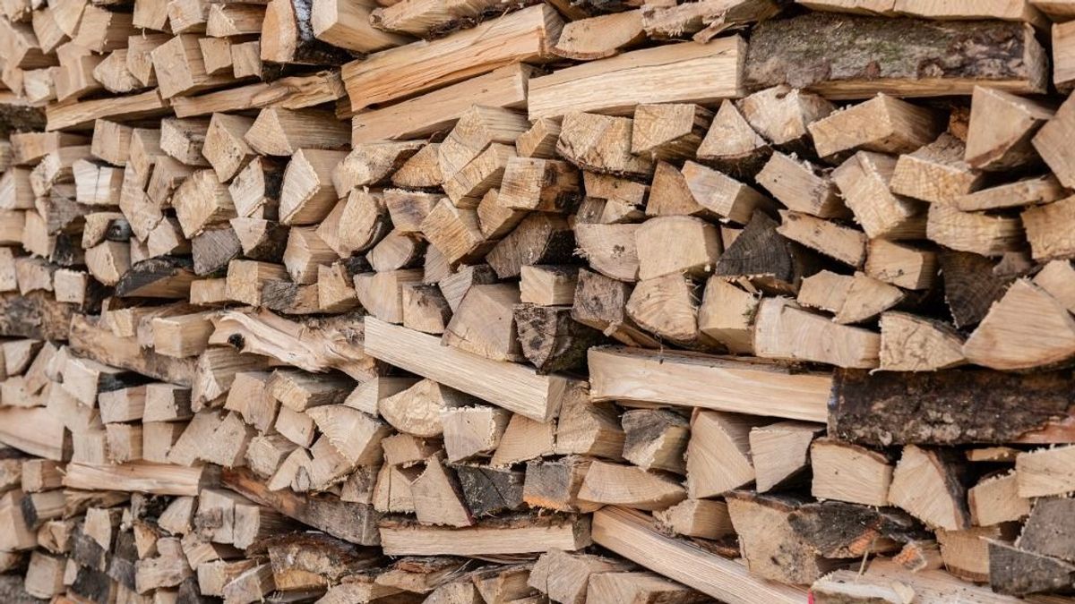 Nem vész el, csak átalakul az elkobzott illegális tűzifa