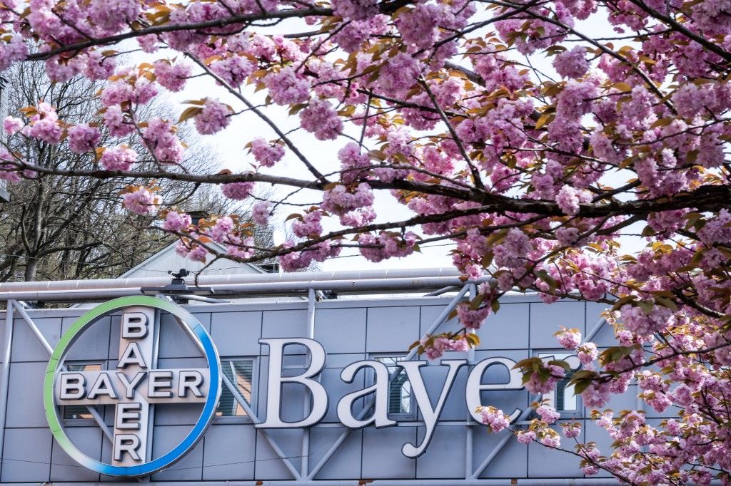 Bayer