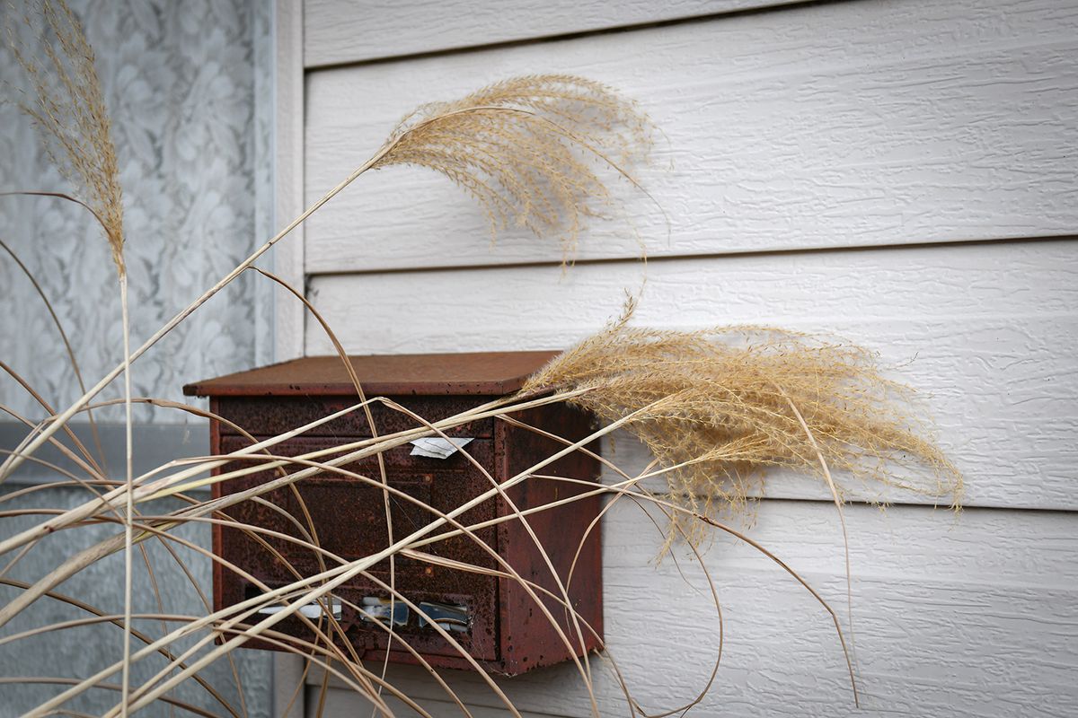 Japanese silver grass covers a post box at an abandoned house in Tomioka, Fukushima Prefecture, Japan, on Tuesday, Feb. 4, 2020. Japan's fossil-fuel crutch that helped the country to keep the lights on after the 2011 nuclear tragedy is making a switch to green energy far harder. Photographer: Noriko Hayashi/Bloomberg via Getty Images