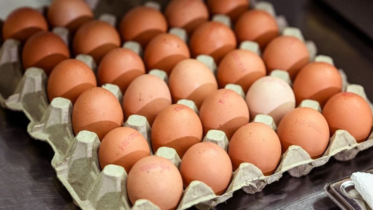 Reagált a Penny az olcsó importtojásokkal kapcsolatos kritikára