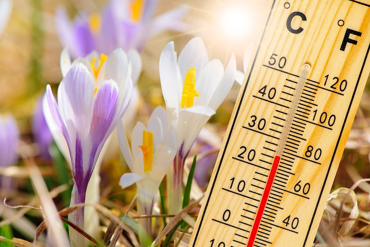 Warm,Temperature,At,Spring,With,Fine,Weather,And,Sun