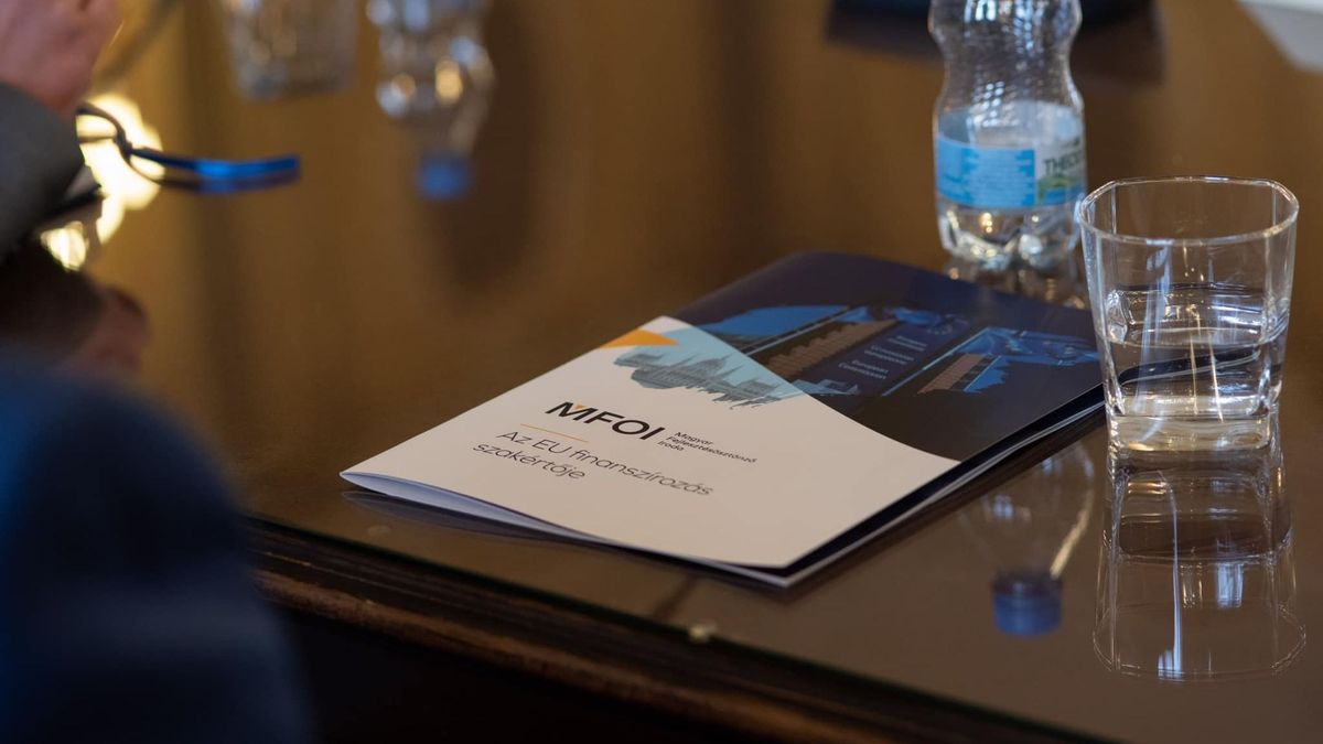 Az MFOI szerepe a közvetlen uniós források lehívásában — Dr. Petri Bernadett, ügyvezető interjúja (x)