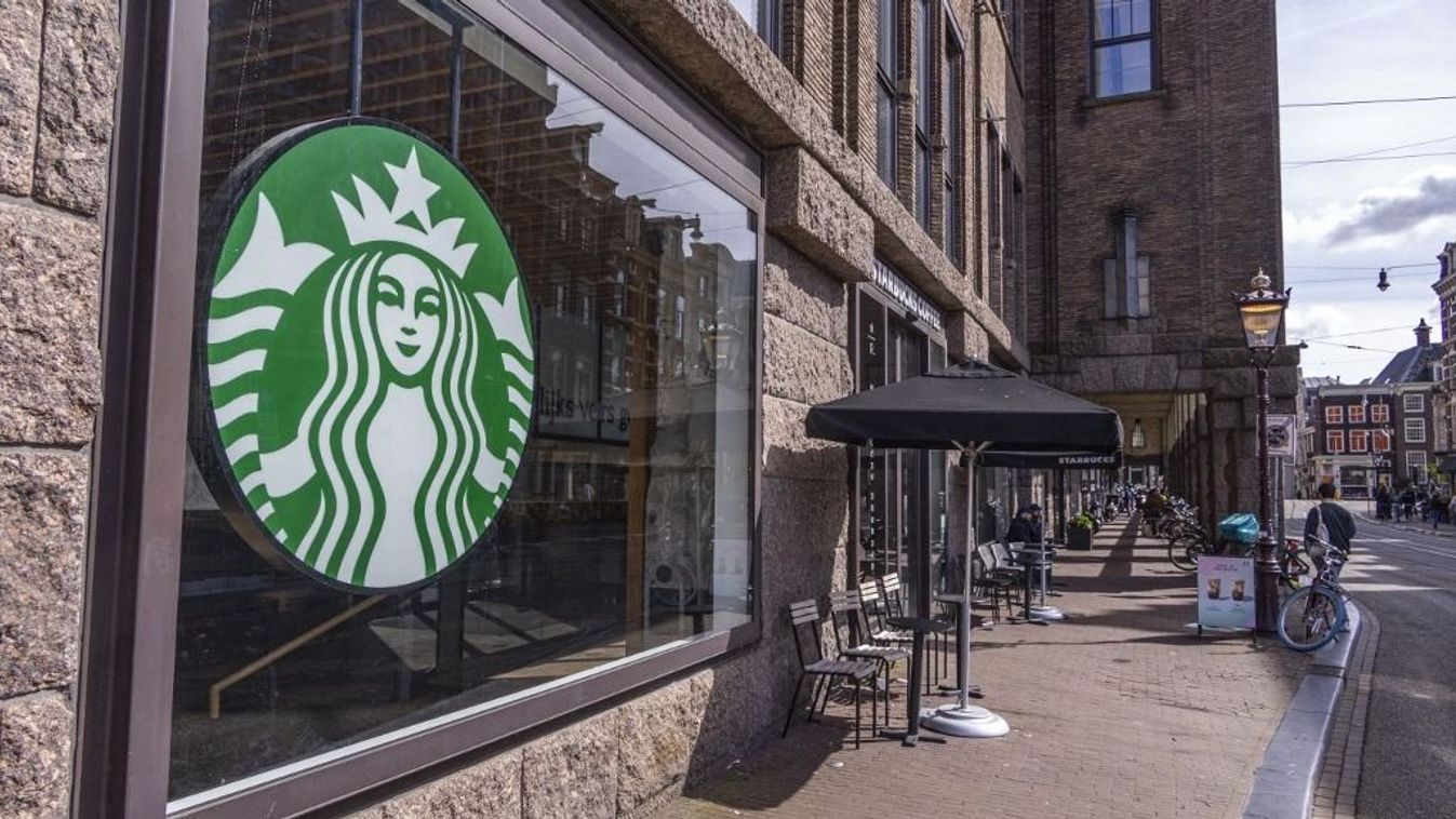 Starbucks: a drágítások és az izraeli háború miatt is sokan elfordultak a cégtől – ezt lépi a menedzsment