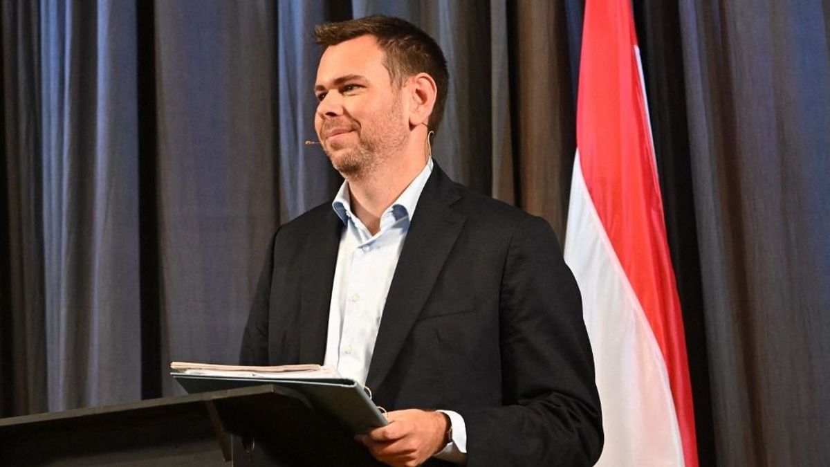 Vitézy Dávid: nem lesz semmilyen párt kádere főpolgármester-helyettes