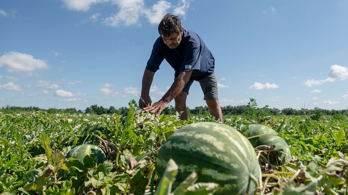 A magyar dinnyét és Szoboszlait is népszerűsíti külföldön a Lidl