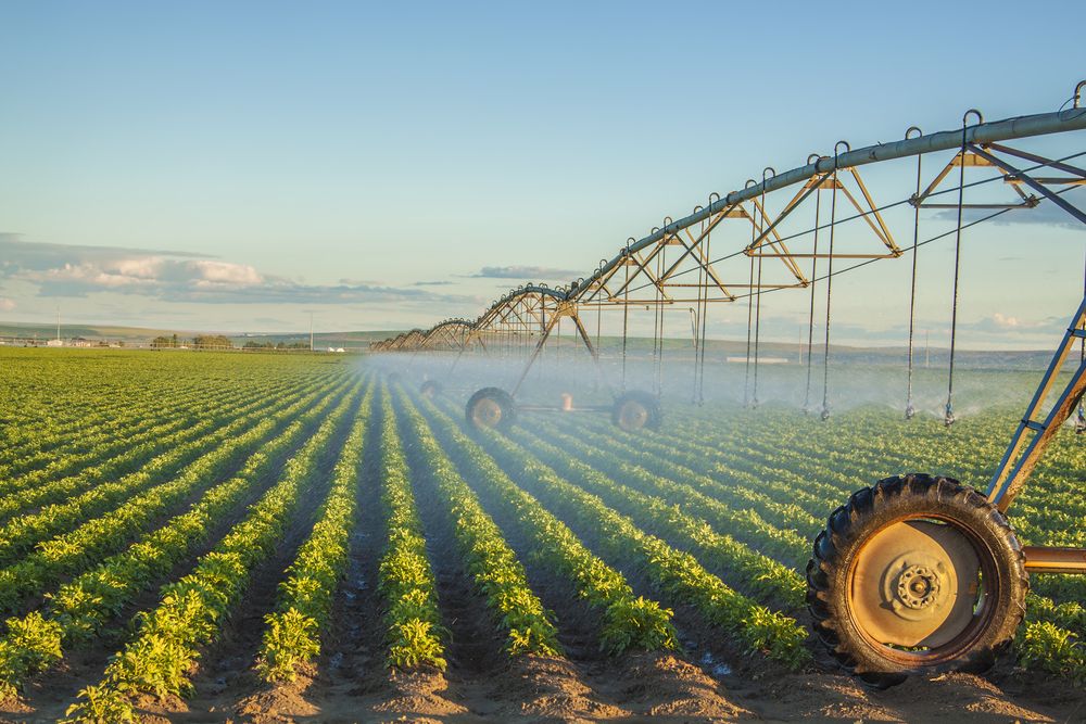 Potato,Field,Irrigated,By,A,Pivot,Sprinkler,System, gazdák