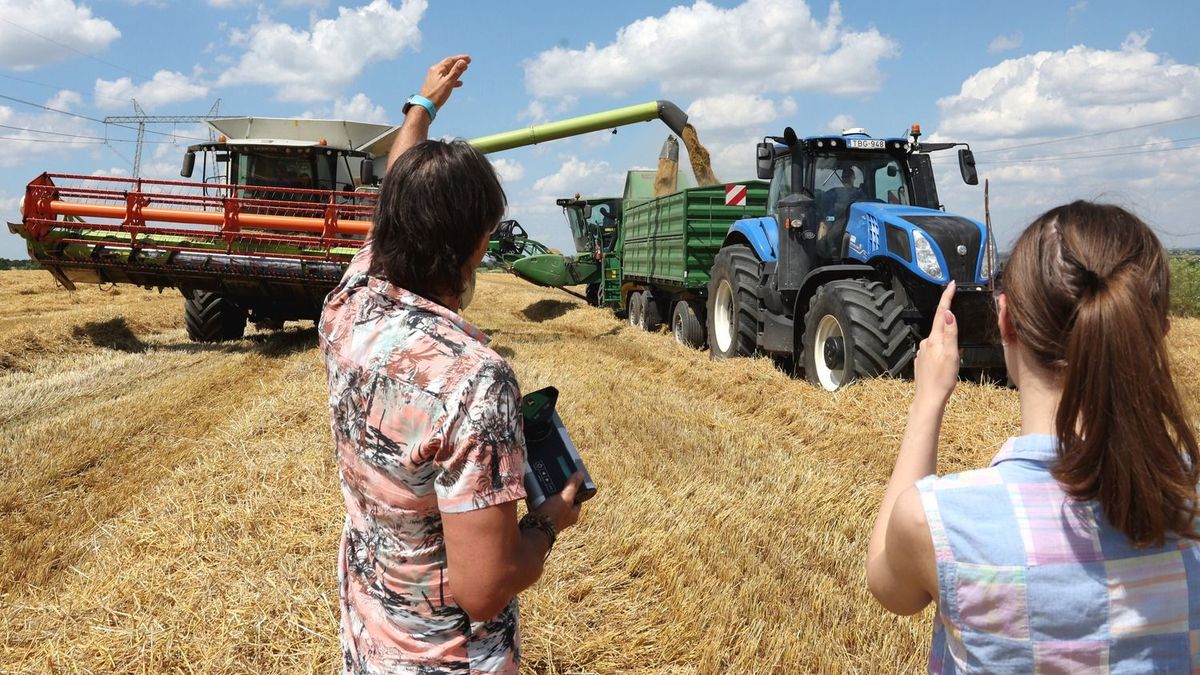 Exportboom volt a gabonában, üres raktárakkal indult az aratás