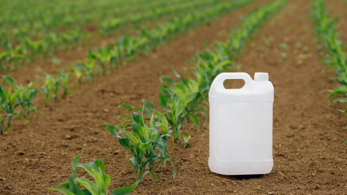 Jó sok mérgező zacskótól szabadultunk meg tavaly